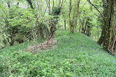 
Buck Farm tip, Risca Blackvein, May 2010