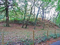 
Glenside level spoil tip, Risca Blackvein, October 2007