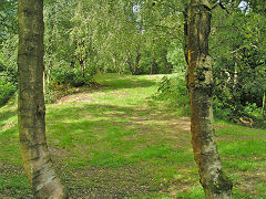 
Glenside level spoil tip, Risca Blackvein, August 2008