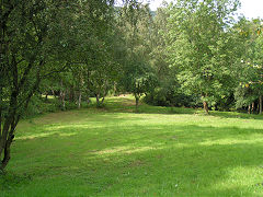 
Glenside level spoil tip, Risca Blackvein, August 2008