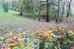 
Glenside level tramroad, Risca Blackvein, November 2015