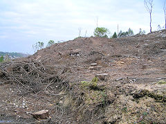 
Shaft or collapse on the hillside, Risca Blackvein, May 2010