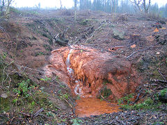 
The 'orange' level, Risca Blackvein, November 2009