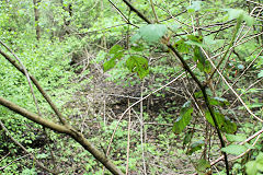 
Capped shafts, Risca Blackvein Colliery, May 2010