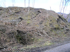 
Eastern tip, Risca Blackvein, March 2010