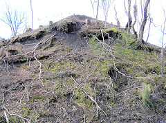 
Eastern tip, Risca Blackvein, March 2010