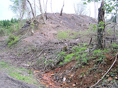 
Eastern tip, Risca Blackvein, May 2010