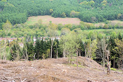 
Eastern tip, Risca Blackvein, May 2010