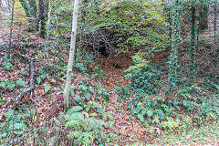 
Level beside forest road, site 2, Risca Blackvein, November 2015