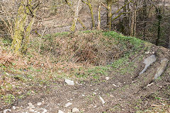 
Level above the forest road, Risca Blackvein, April 2016