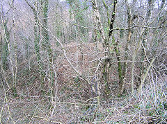 
Level above the forest road, Risca Blackvein, March 2010