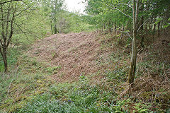 
Hairpin bend tips, Risca Blackvein, May 2010