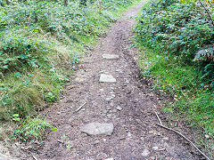 
Waun-fawr Waunfawr-Tramroadamroad sleepers, September 2014