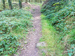 
Waun-fawr Tramroad sleepers, September 2014