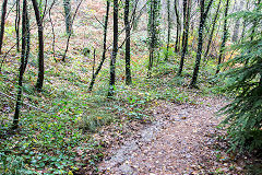 
Waunfawr Tramroad  at the hairpin bend, Risca Blackvein, November 2015