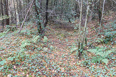 
From the hairpin to the junction, Risca Blackvein, November 2015