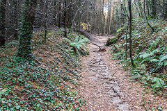 
Up from the hairpin, Risca Blackvein, November 2015