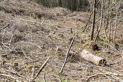 
The Waun-fawr Tramroad from the junction to the hairpin, April 2016