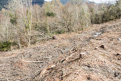 
Waunfawr Tramroad  from the hairpin to the junction, Risca Blackvein, April 2016