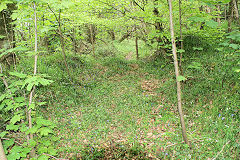 
Incline crossing footpath, Risca Blackvein, May 2010