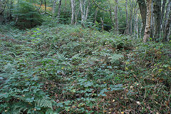 
Incline from the East, Risca Blackvein, October 2009