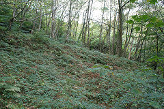 
Incline from the East, Risca Blackvein, October 2009