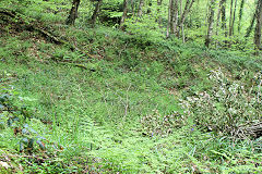 
Incline from the East, Risca Blackvein, May 2010