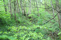 
Incline from the West, Risca Blackvein, May 2010