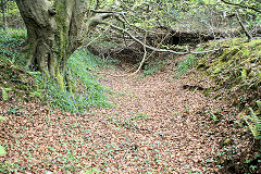 
Possibly the top (brakehouse) of the incline was in this gully, Risca Blackvein, May 2010