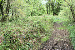 
Incline top on tramroad, Risca Blackvein, May 2010