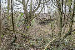 
Possibly the top (brakehouse) of the incline was in this gully, Risca Blackvein, April 2016