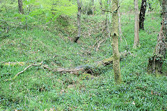 
Level to East of incline, Risca Blackvein, May 2010