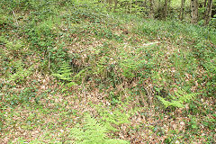 
Incline retaining wall from the East, Risca Blackvein, May 2010