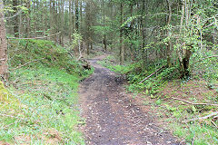 
Waun-fawr Tramroad at loading bank, Risca Blackvein, May 2010