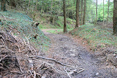 
Waun-fawr Tramroad from previous point, Risca Blackvein, May 2010