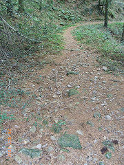 
Waun-fawr Tramroad from previous point, Risca Blackvein, October 2007