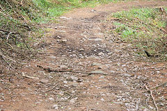 
Waunfawr Tramroad from previous point, Risca Blackvein, May 2010