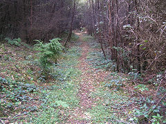 
Waunfawr Tramroad  from previous point, Risca Blackvein, August 2008