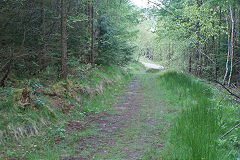 
Waunfawr Tramroad  from previous point, Risca Blackvein, May 2010