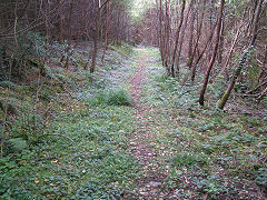 
Waunfawr Tramroad from previous point, Risca Blackvein, August 2008