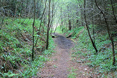 
Waunfawr Tramroad  from previous point, Risca Blackvein, May 2010