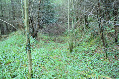 
From the hairpin to the junction, Risca Blackvein, May 2010