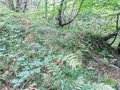 
Incline crossing footpath, Risca Blackvein, September 2014