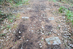 
Waun-fawr Tramroad sleepers sleepers, May 2010