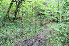 
Junction of the Glenside (R) and Waun-fawr (L) Tramroads, Risca Blackvein, May 2010