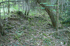 
Waun-fawr Tramroad at the junction, Risca Blackvein, May 2010