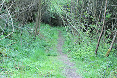 
Waun-fawr Tramroad above hairpin bend, Risca Blackvein, May 2010