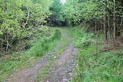 
Waun-fawr Tramroad from forest road, Risca Blackvein, May 2010