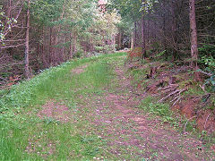 
Waun-fawr Tramroad from previous point, Risca Blackvein, August 2008