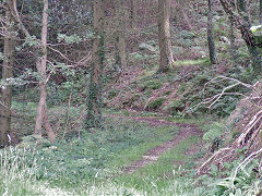 
Waun-fawr Tramroad from previous point, Risca Blackvein, August 2008